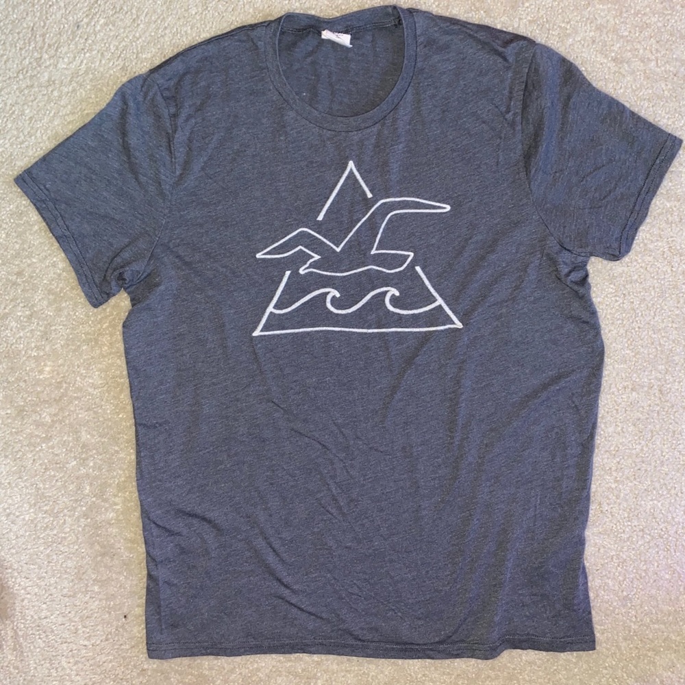 Hollister T shirt
